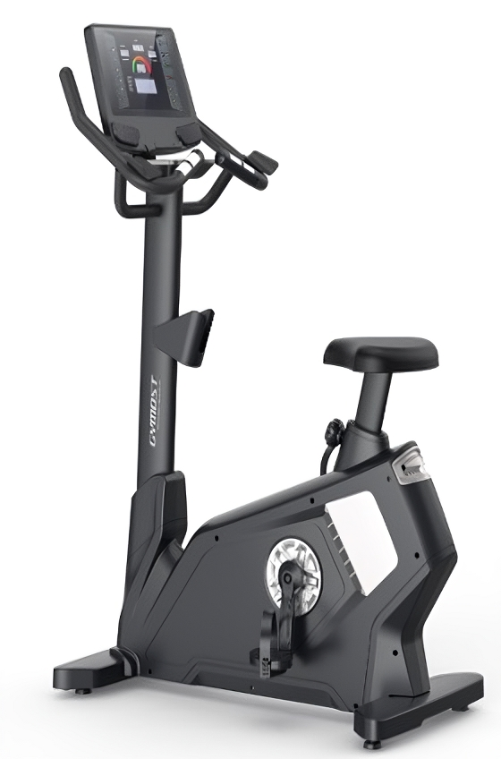 Bicicleta Ergométrica Vertical