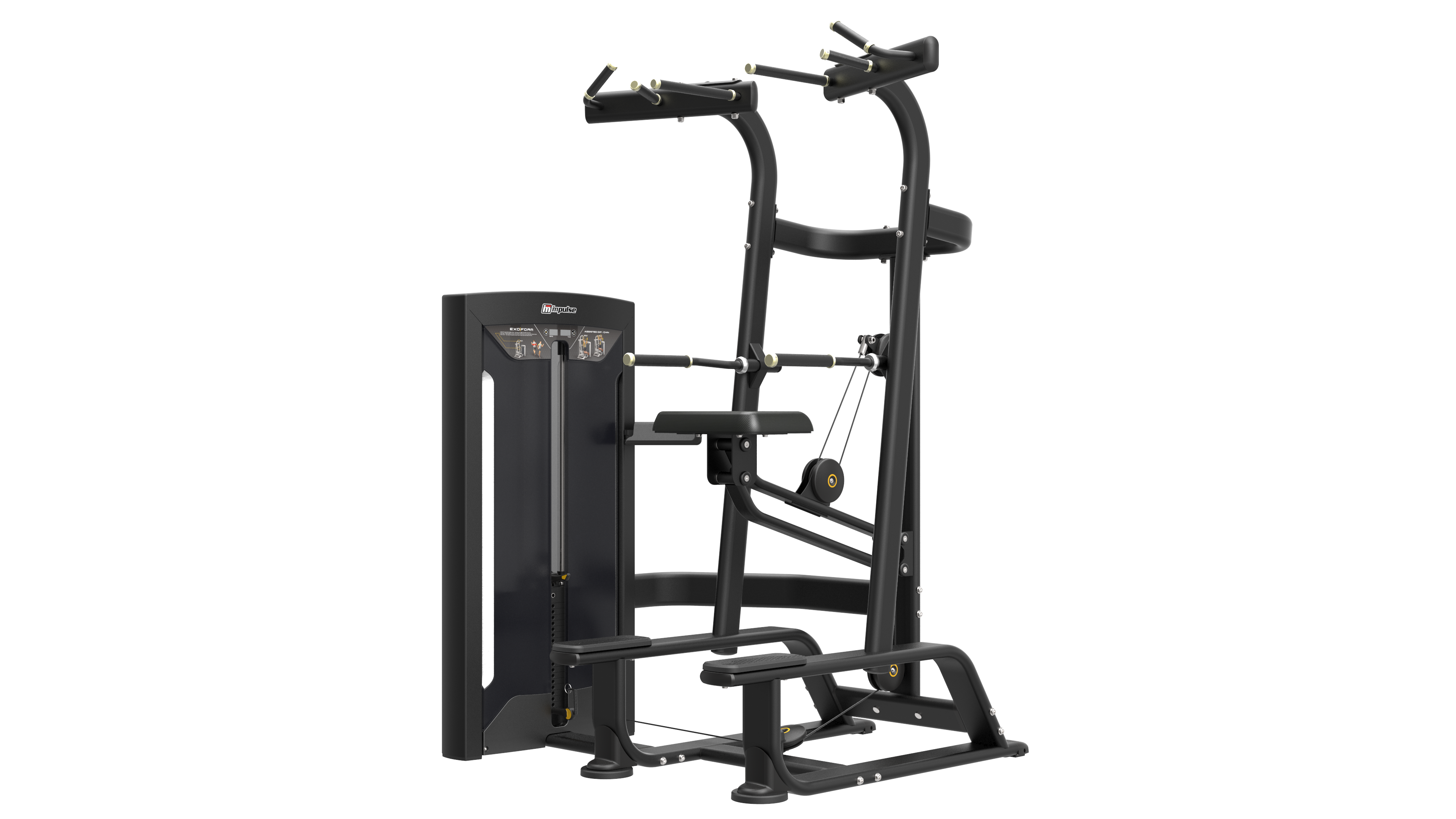 Weight Assisted Chin/Dip Combo