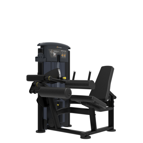 SEATED LEG CURL