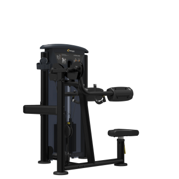 LATERAL RAISE