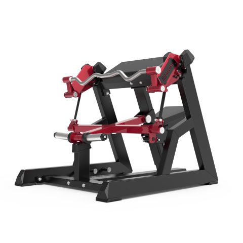 SEATED BICEPS