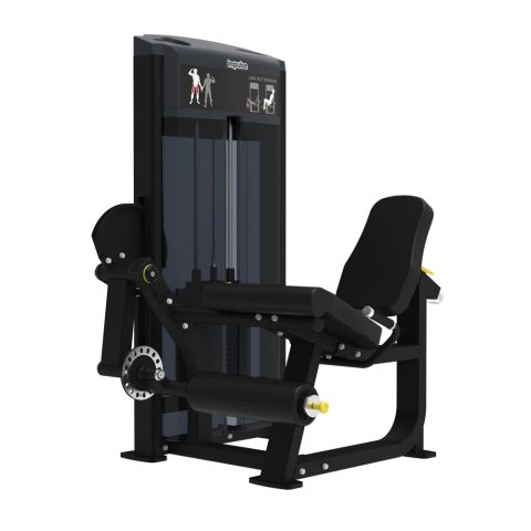 LEG EXTENSION