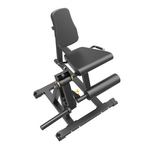 SEATED LEG EXTENSION