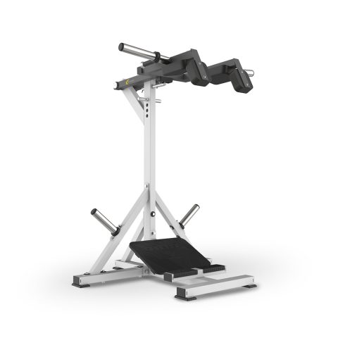 STAND CALF RAISE