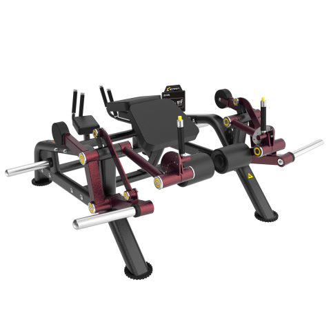 Mesa Flexora