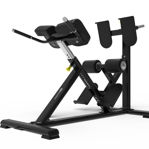 BACK EXTENSION BENCH