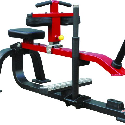 SEATED CALF RAISE