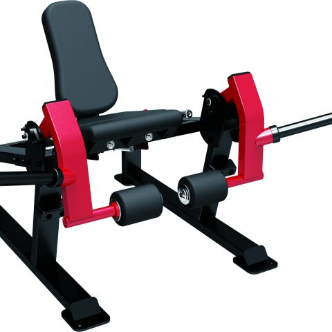 LEG EXTENSION