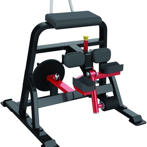 STANDING LEG CURL