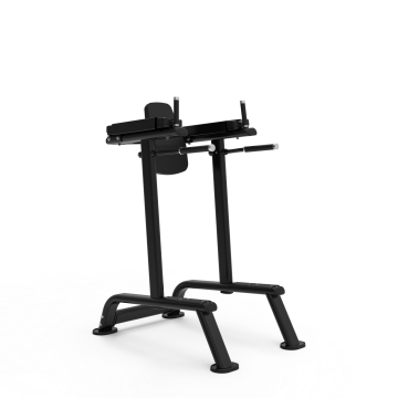 KNEE RAISE