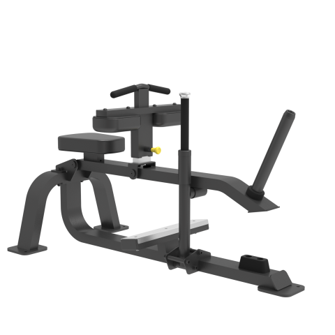 SEATED CALF RAISE