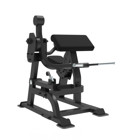 BICEP CURL