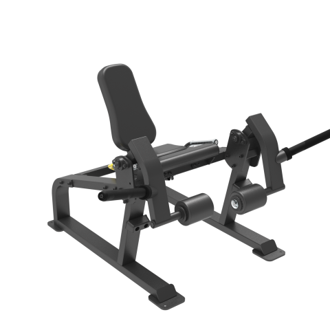 LEG EXTENSION