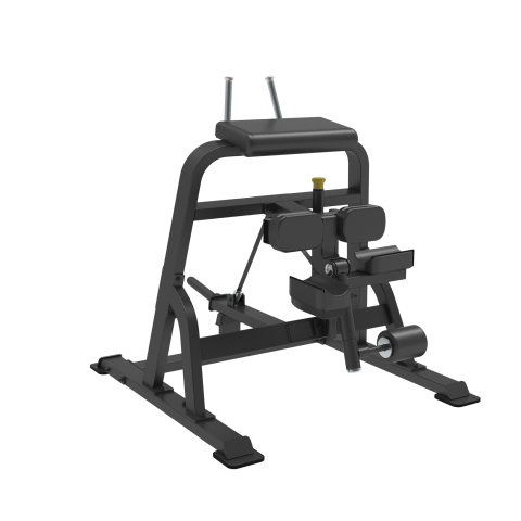 STANDING LEG CURL